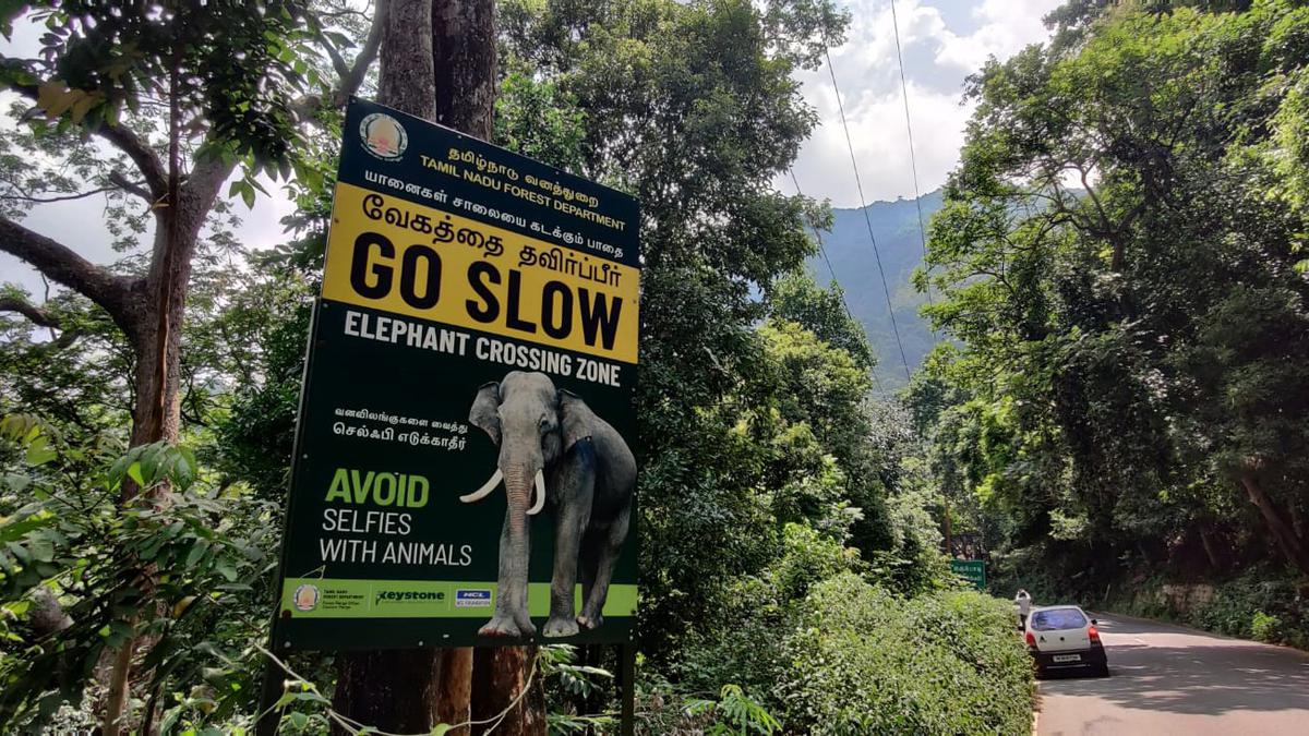 Panel identifies 42 elephant corridors in T.N., invites comments from public