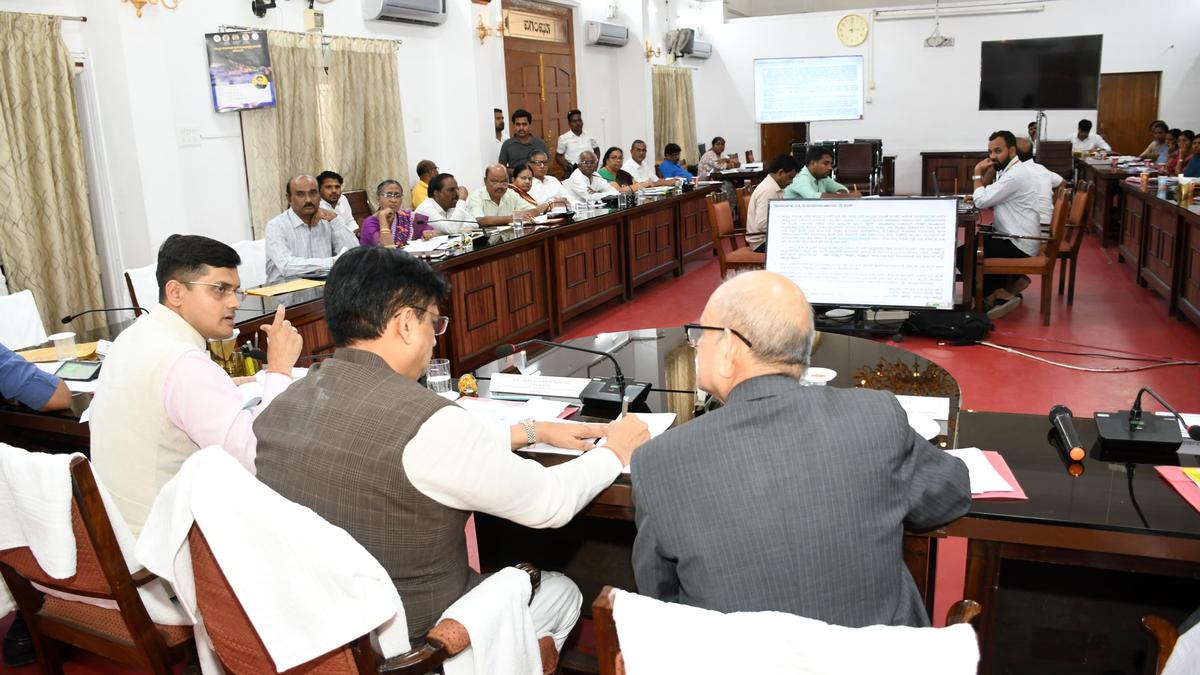 Long-term vision plan crucial to boost per capita income in Kalyana Karnataka, says Govinda Rao