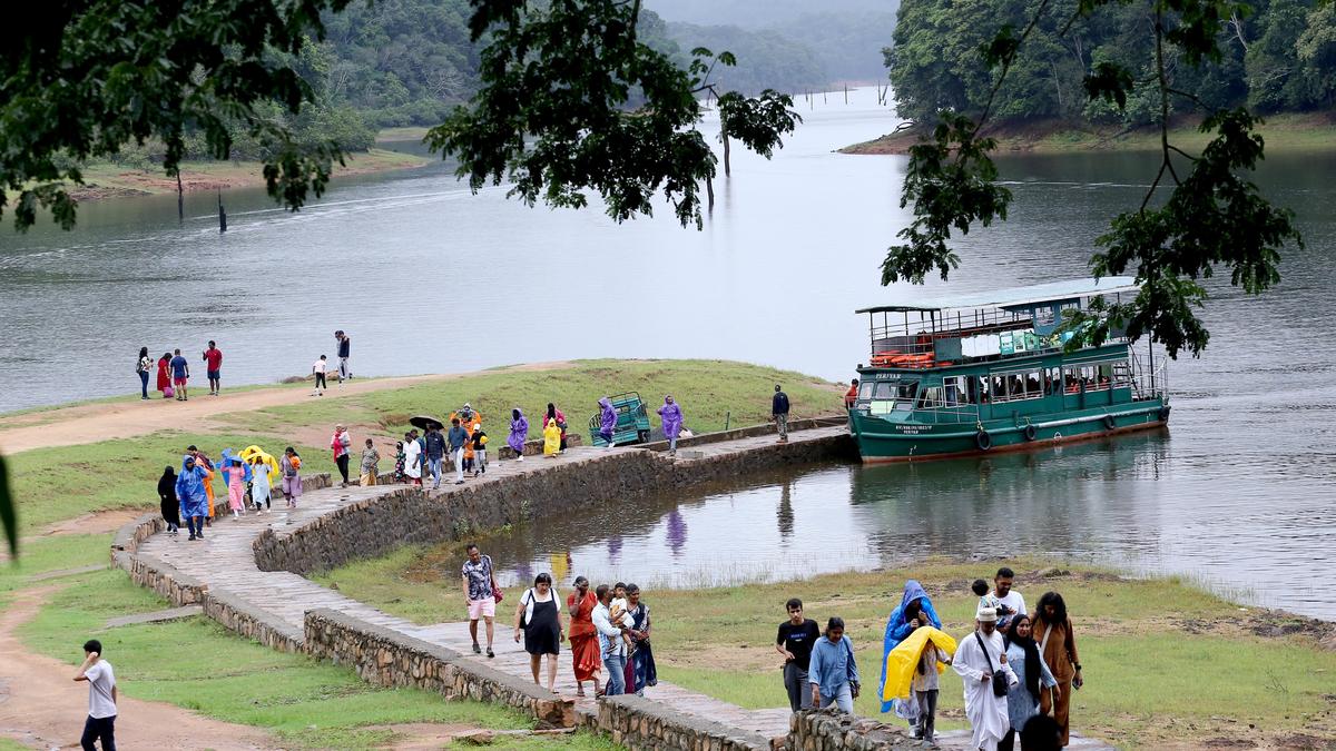 Financial irregularities found at Kerala’s Periyar Tiger Reserve