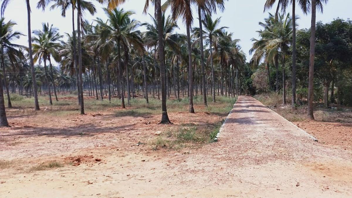 Land designated for Botanical Garden in Chickballapur gets submerged in water