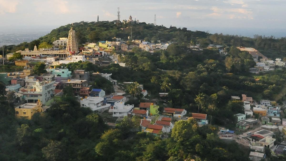 Imperatives of buffer zone around Chamundi Hills emphasised