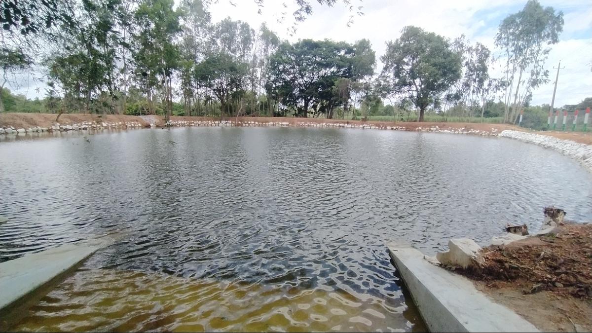 Karnataka’s Mandya district wins national award for Jal Sanchay Jan Bhagidari campaign