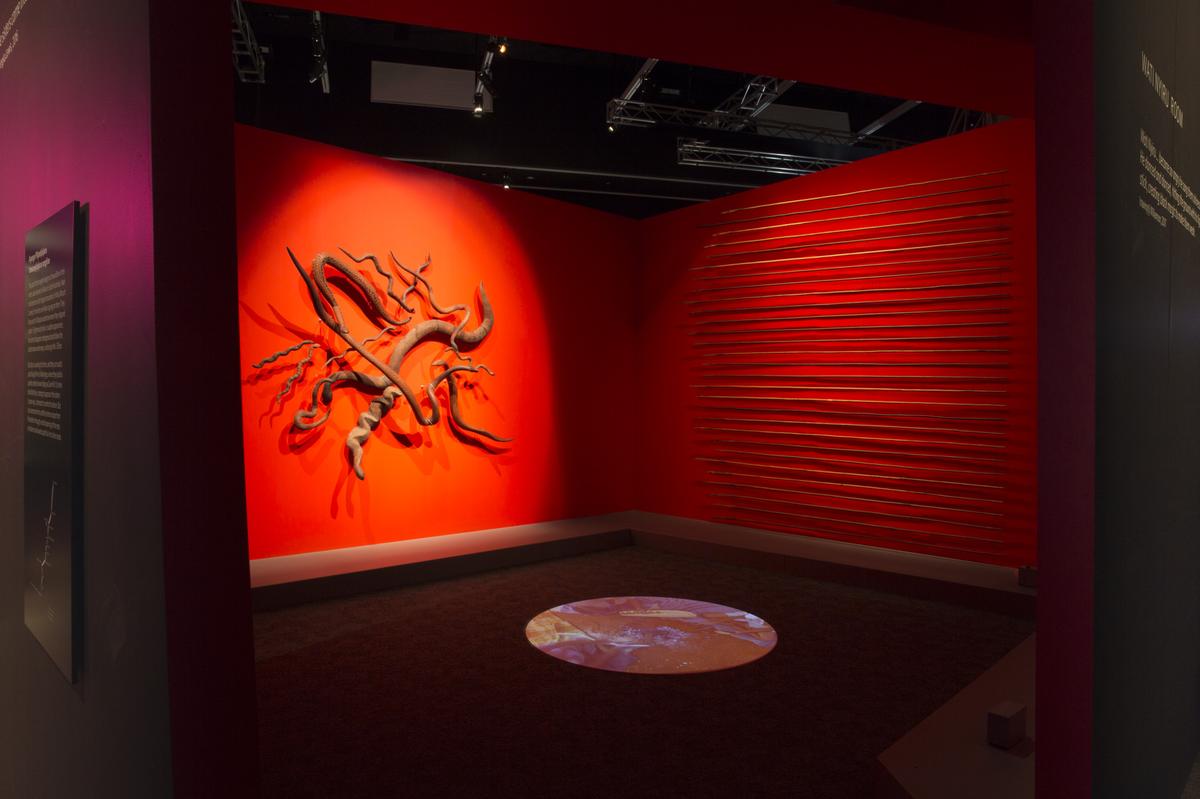 साँप और भाले - जॉर्ज सेरास साँप और भाले - जॉर्ज सेरास