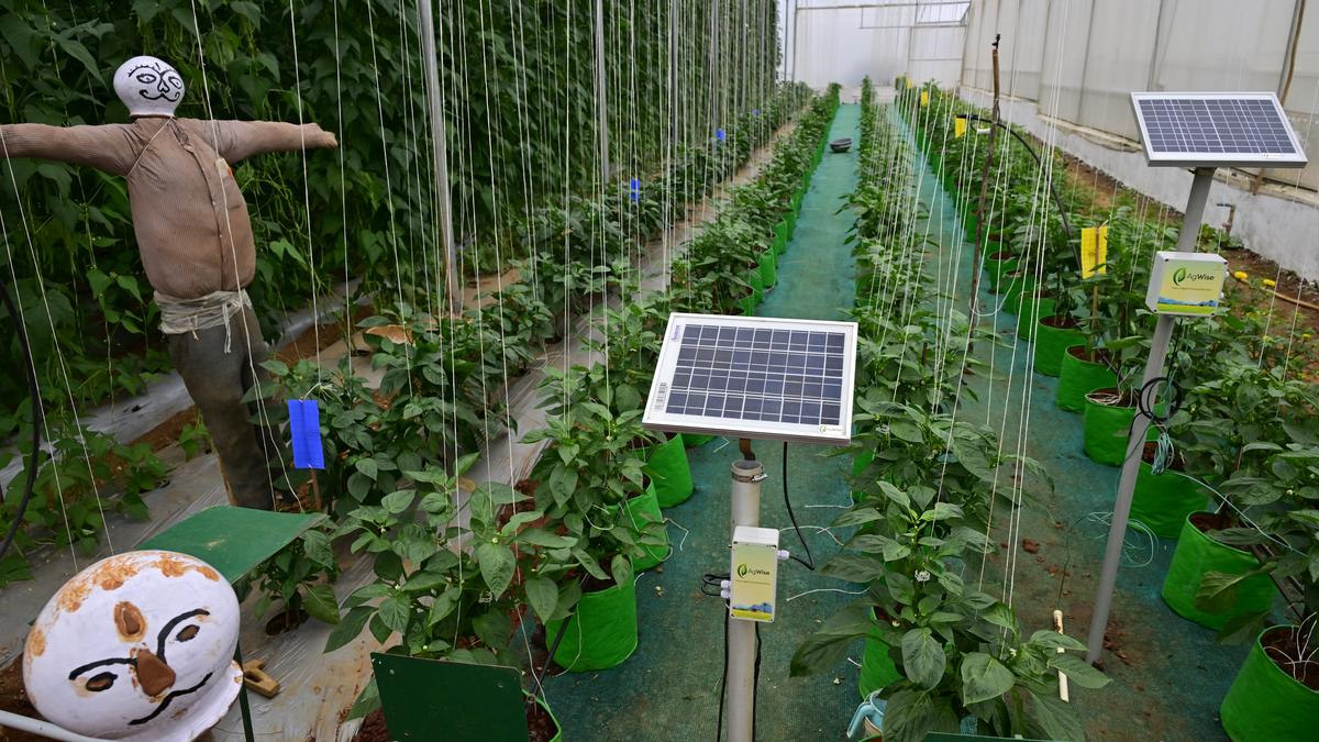 Business worth ₹1.75 cr. recorded on day 3 at Krishi Mela