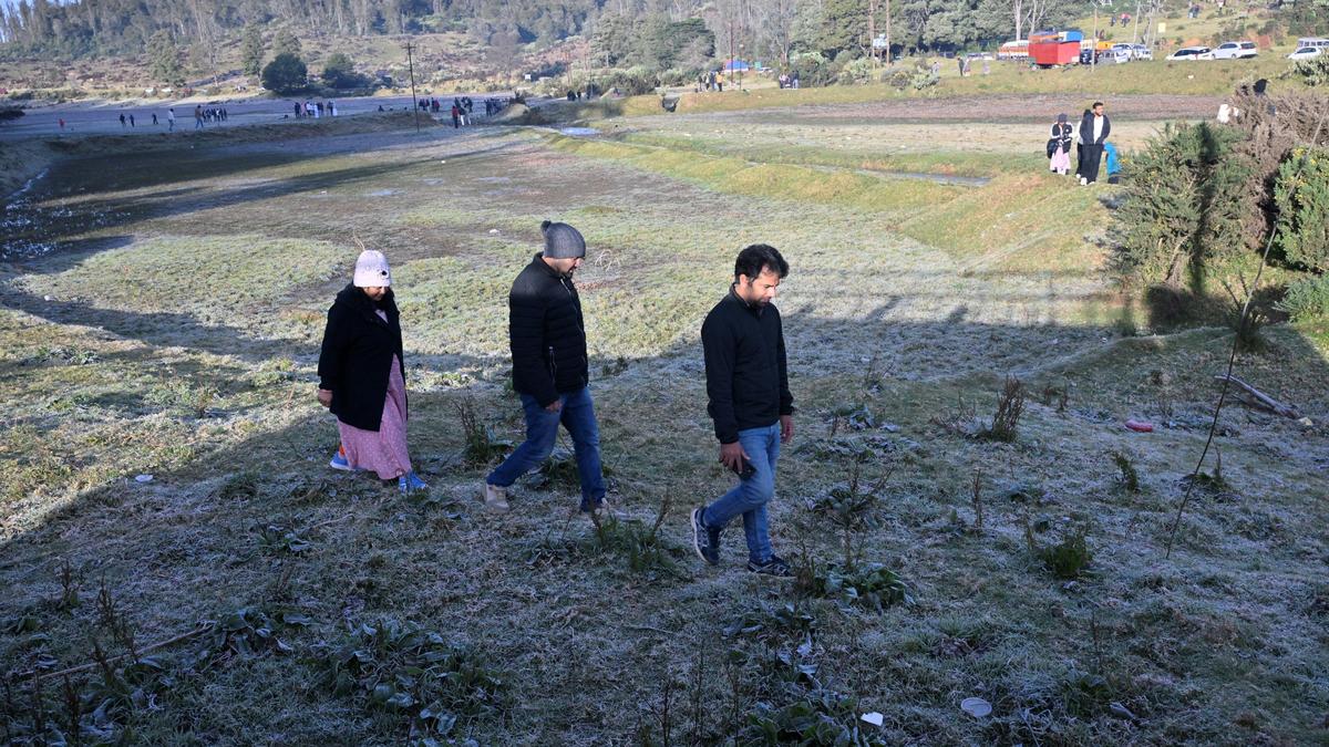 T.N. Forest dept. curbs tourist entry at Thalakundha amid onset of ground frost