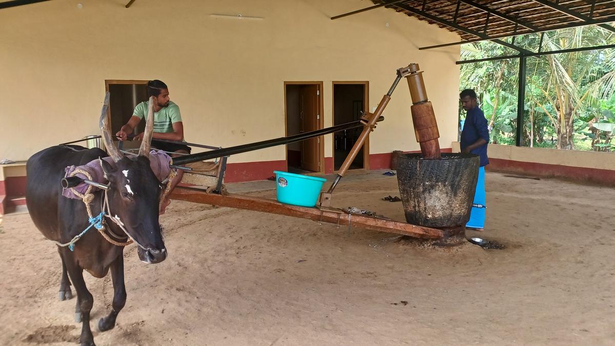 Jeevana Shaale, an alternative education model, aims to bridge gap between formal schooling and real-world needs 