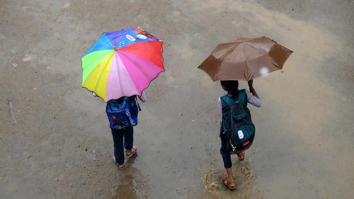 Heavy rainfall in parts of Rajasthan, 'orange' alert issued for several districts