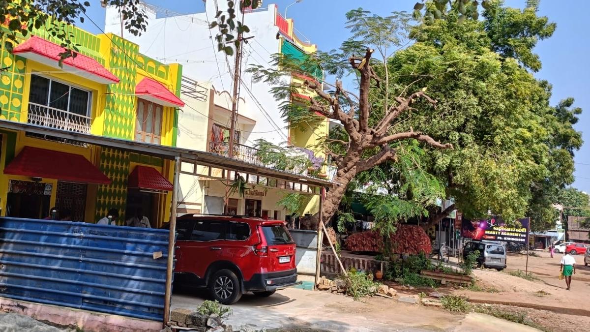 Plea for removal of encroachments around Perumal Temple, Valliyoor main road