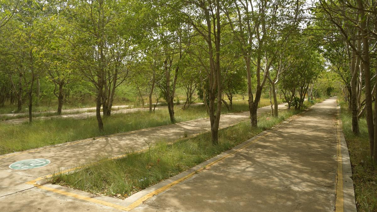 Tenders floated for construction of integrated vegetable market at Panjapur