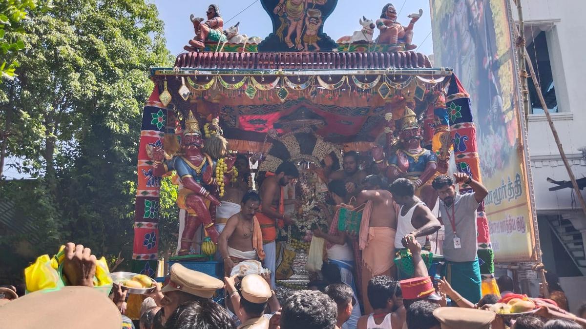 Karaikal comes alive with Mangani festival