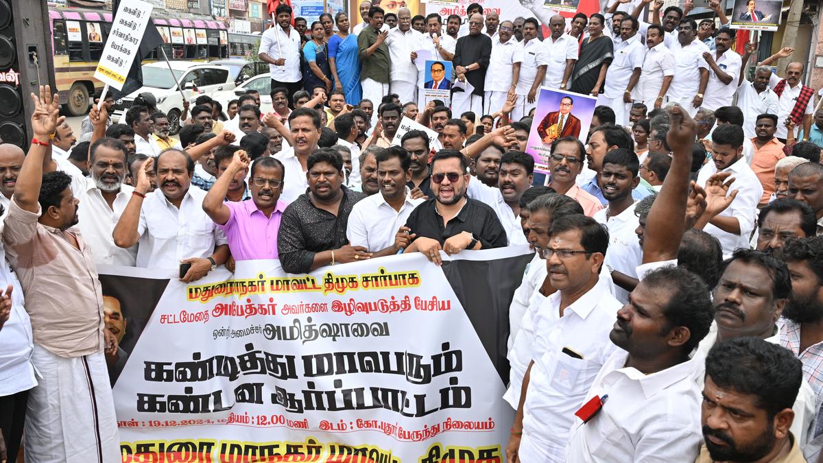 Shah’s remark on Ambedkar: Law Minister flays EPS, parties stage stir