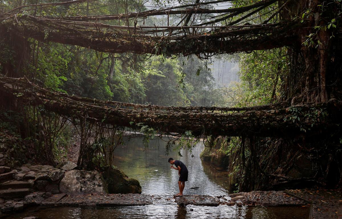 A double-decker root bridge in the north-eastern State of Meghalaya.