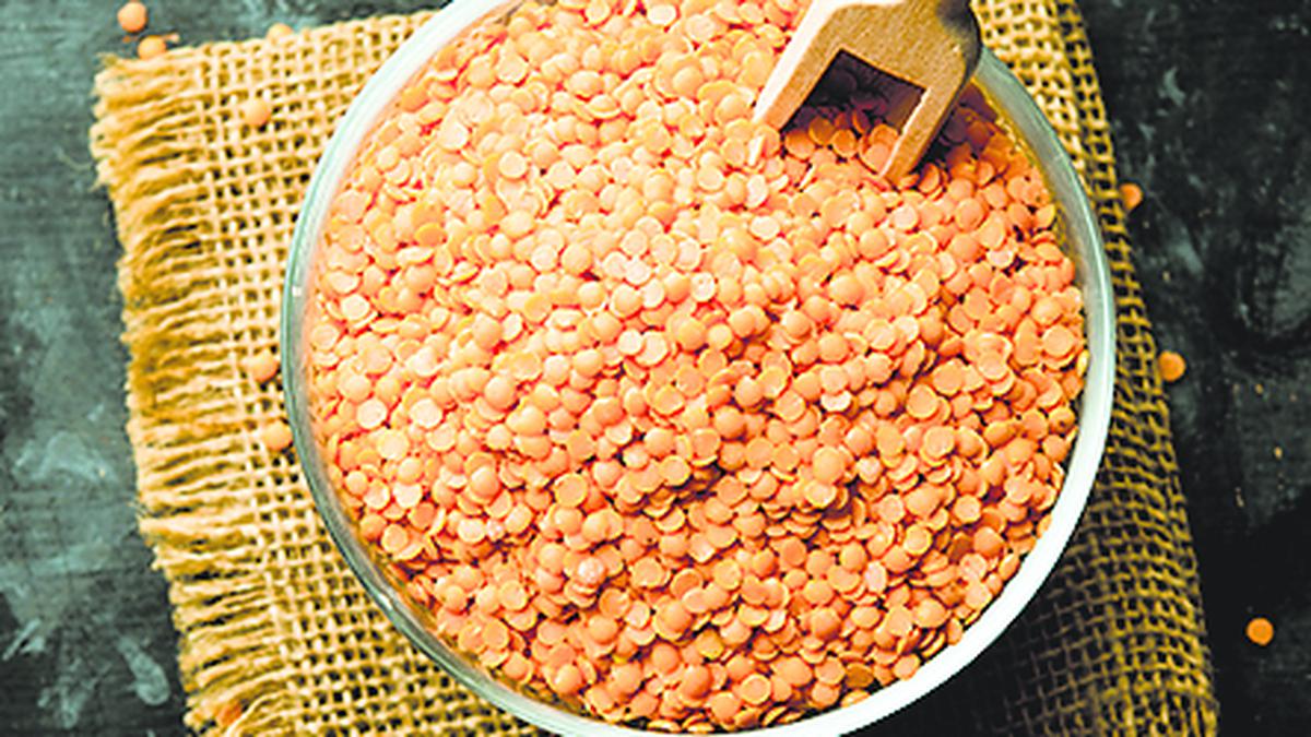 Masur Dal imports to stay duty-free till March 2025