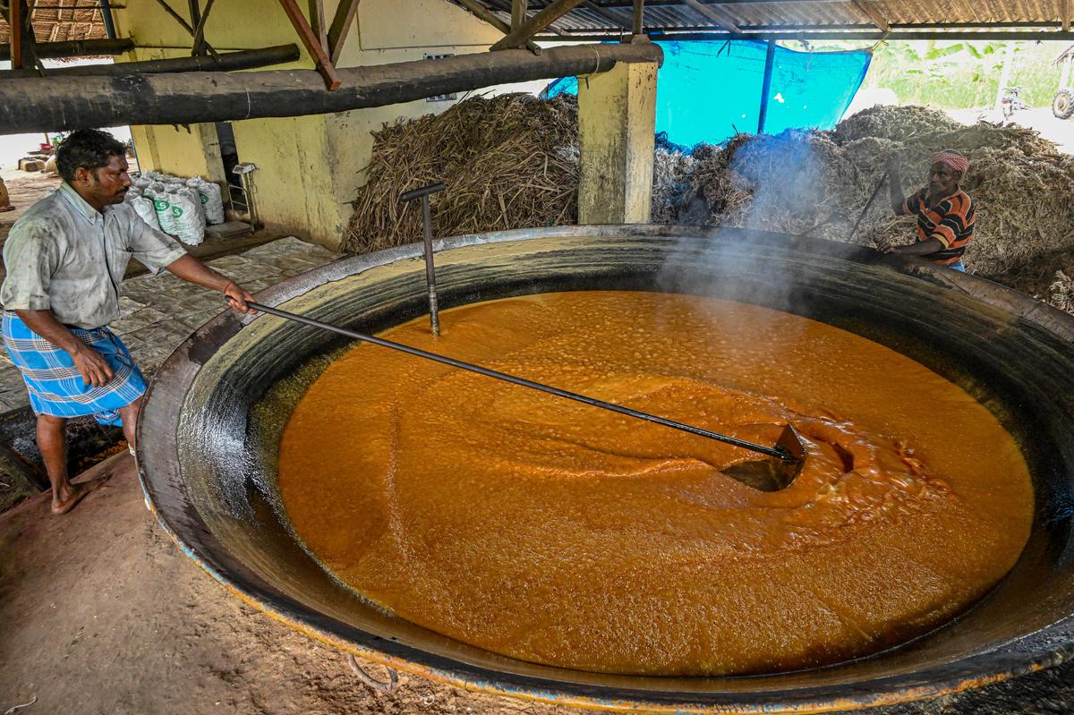 Sugarcane juice is cooked till it caramelises and thickens before being set into wooden moulds to make Veeramangudi atchu vellam.