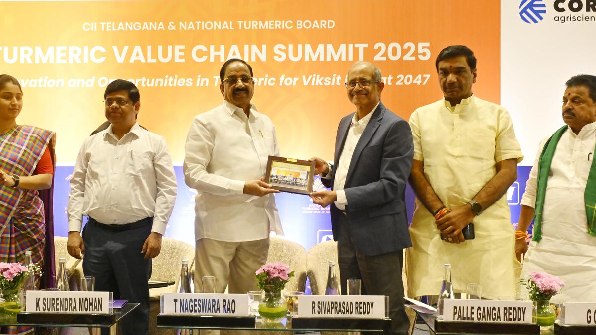 Stress on need to bolster turmeric output, quality, exports