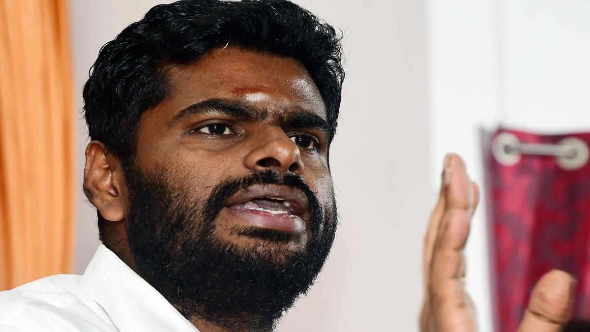 Petrol bomb attacks | Senior BJP workers met DGP, sought protection, says Annamalai