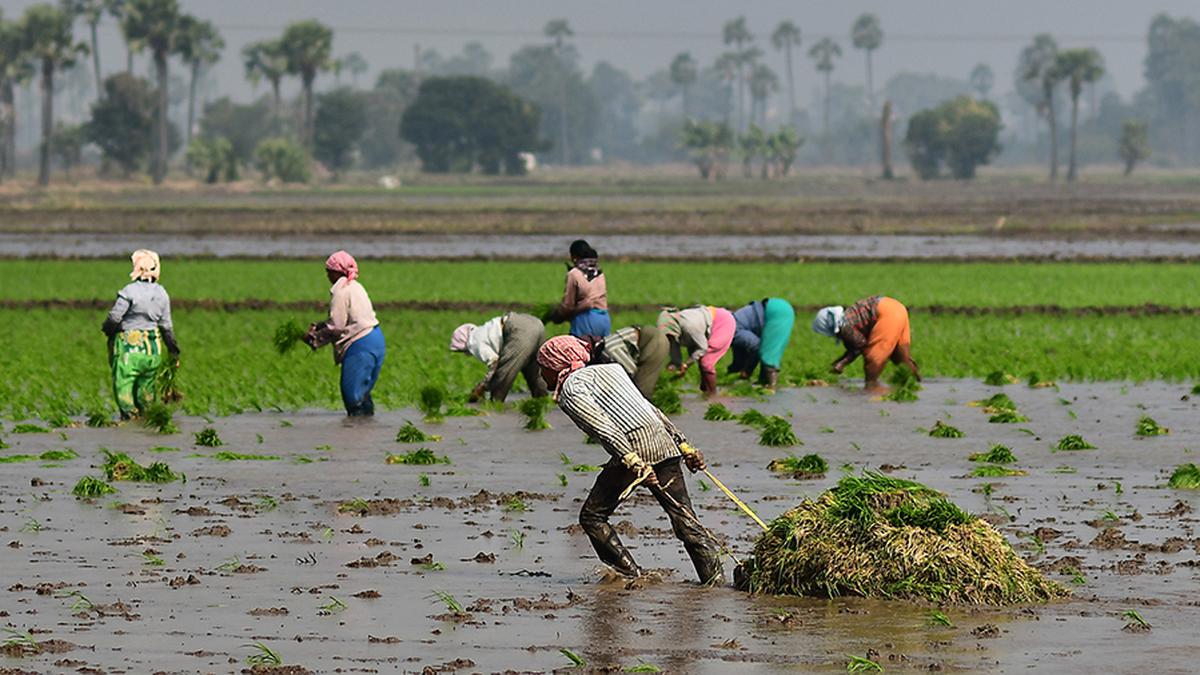 Britain evinces keen interest in innovations in farm sector in A.P.