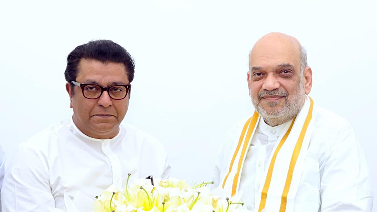 Talks between Amit Shah and Raj Thackeray positive; picture will be clear in few days: Devendra Fadnavis