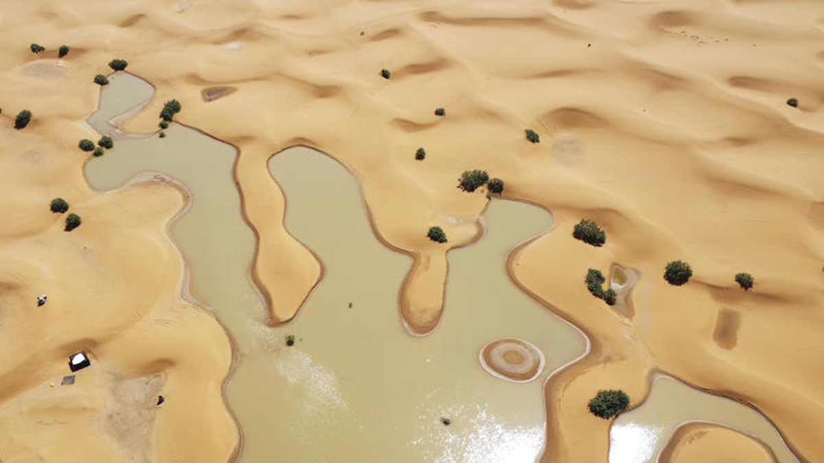 https://th-i.thgim.com/public/incoming/scn350/article68745150.ece/alternates/LANDSCAPE_1200/sahara%20desert.png