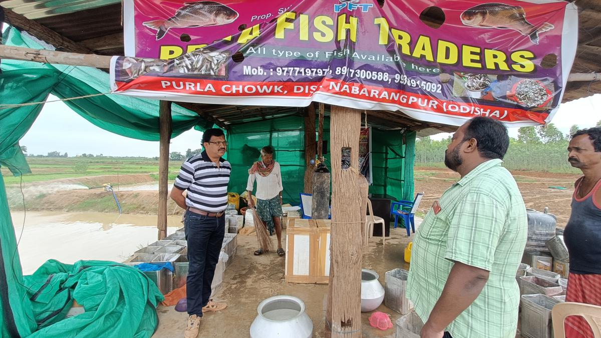 In five years, top science labs create a splash with pisciculture in Nabarangpur, one of India’s poorest districts