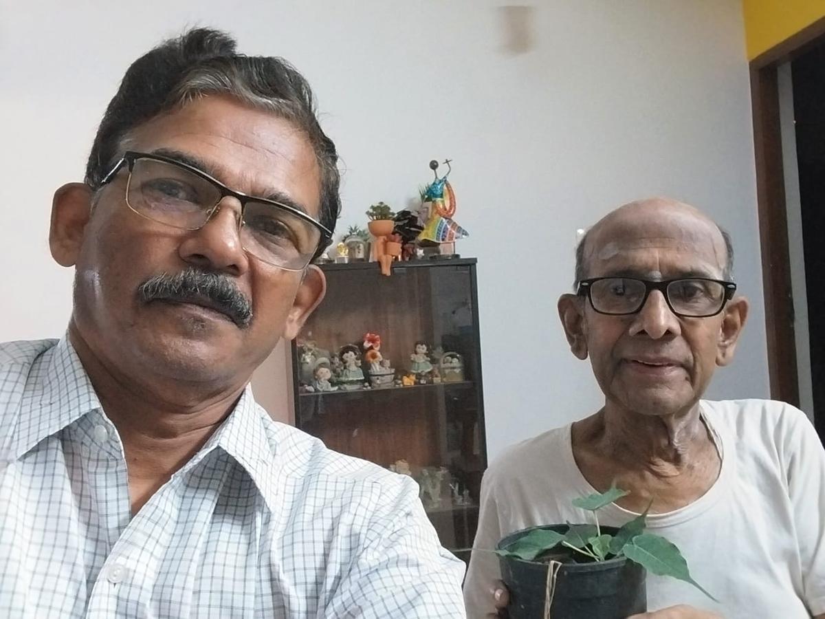 M. Sundararaman (in the background). A resident of Sashtri Nagar, Sundararaman would pick seeds on the streets, raise seedlings and have them planted in parks and other public places. M. Sundararaman (in the background). A resident of Sashtri Nagar, Sundararaman would pick seeds on the streets, raise seedlings and have them planted in parks and other public places.