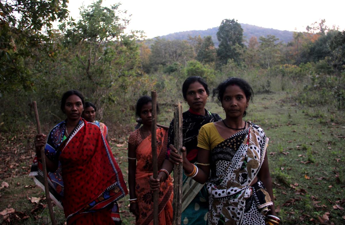 File photo of Forest Protection Women activists returning back from inside the Similipal Biosphere as they make an effort to protect their forest from the fire in the buffer area of the Similipal forest near Mandan village in Maurbhanja district of Odisha. 