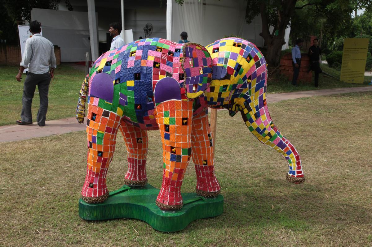 Gajotsavam to create awareness on issues faced by the wild elephant