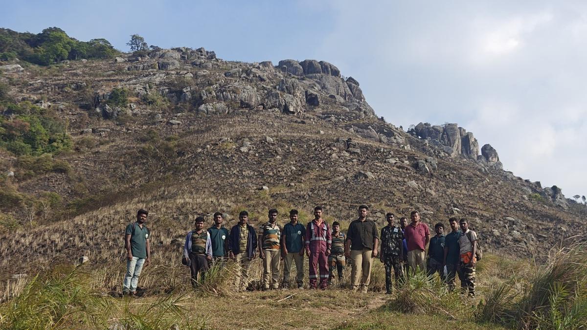 Forest fire near Perumalmudi in Coimbatore contained