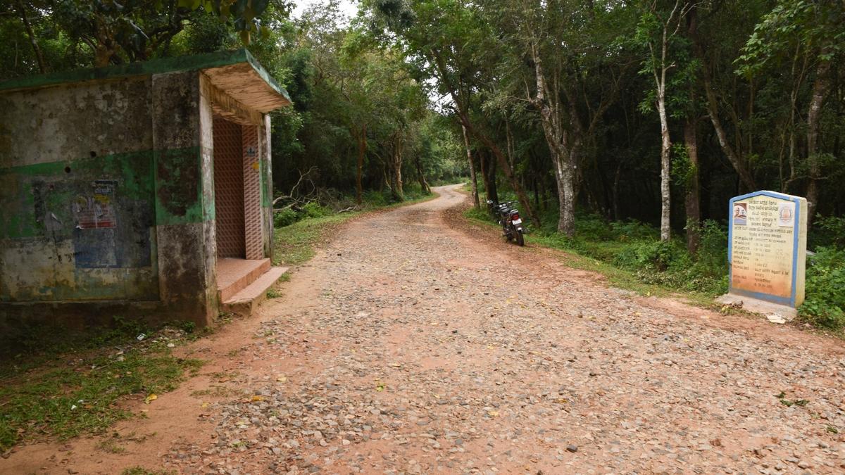 Two tribal settlements in Talavadi Hills to get tar-topped roads
