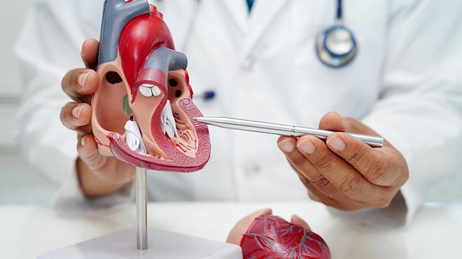Exposure-to-phthalates-in-plastics-linked-to-35-lakh-heart-disease-deaths-in-2018-study