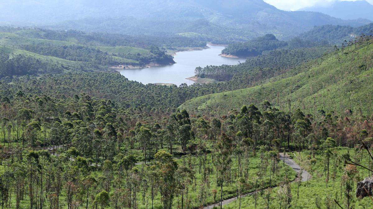 Concern over illegal tent tourism in Chinnakkanal