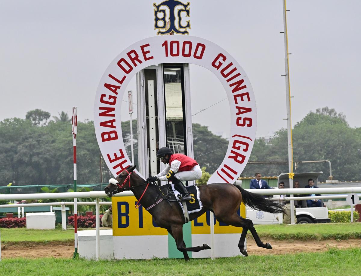 Regal Reality ridden by jockey Akshay Kumar winning The Bangalore 1000 Guineas, at the Bangalore Turf Club (BTC), in Bengaluru on November 30, 2024.