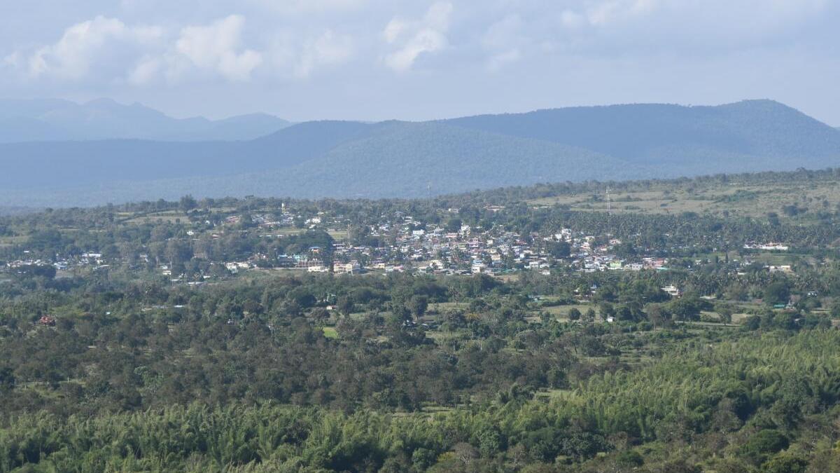 Madras High Court upholds most of the findings of Segur Plateau Elephant Corridor Inquiry Committee