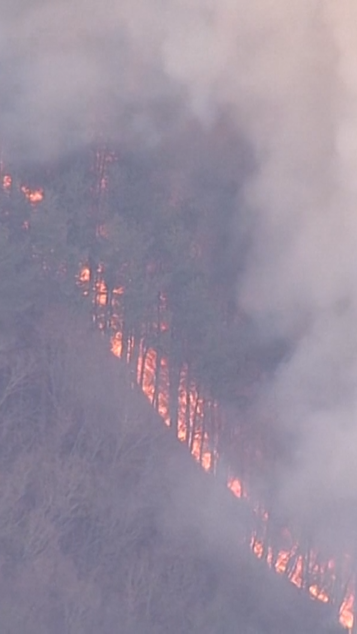 Northern Japan wildfires explode in size, 3,000 evacuated