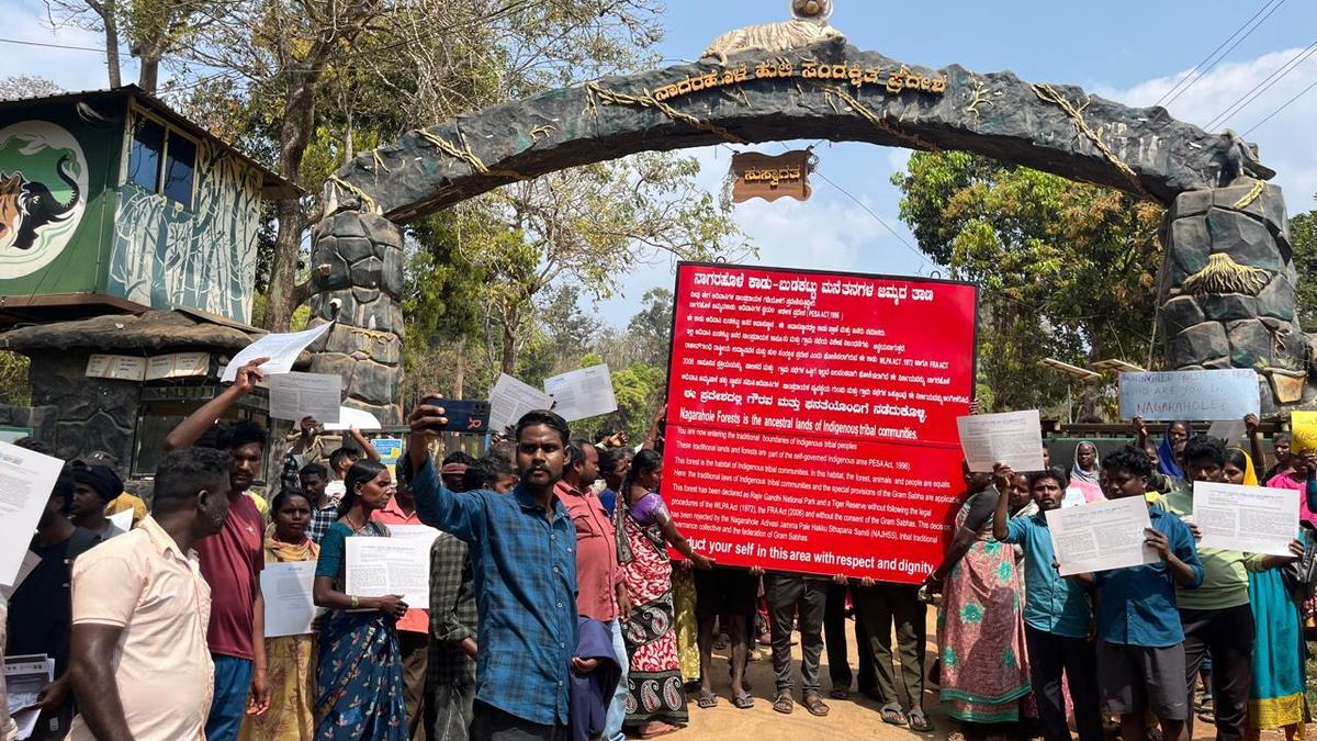 Tribals of Nagarahole call for continuing safari ban, condemn International Big Cat Alliance 