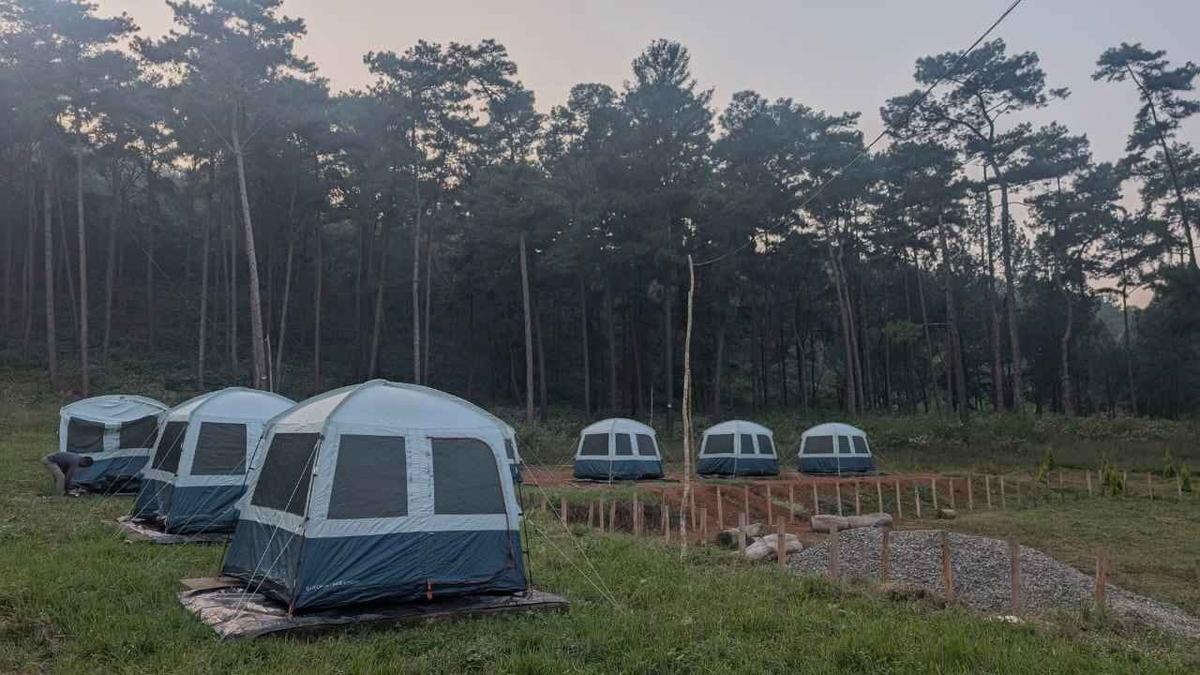 Government eco-tourism project launched near Lambasingi with 25 tents