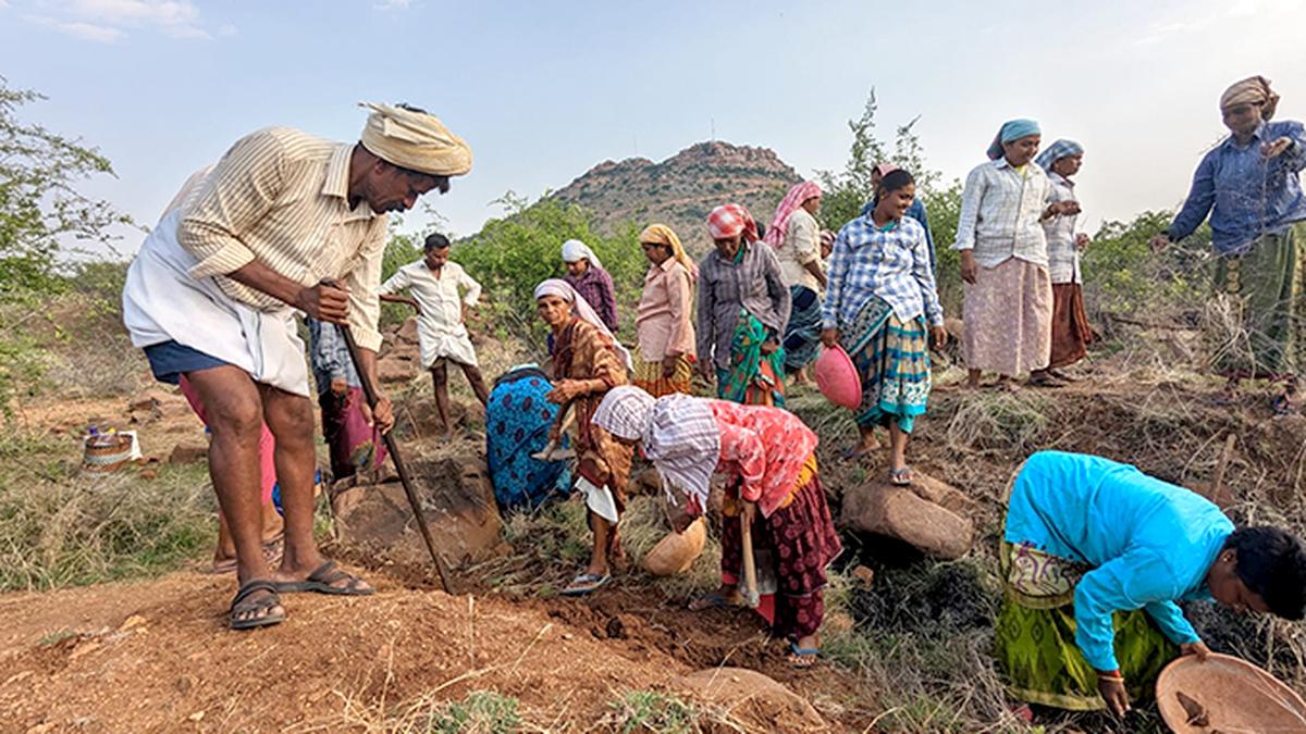 Budget 2024: Spending on rural development increases marginally, but not all schemes benefit | Data