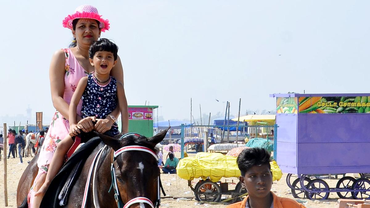 Panel to frame guidelines for use of horses for joy rides, T.N. govt. informs Madras High Court