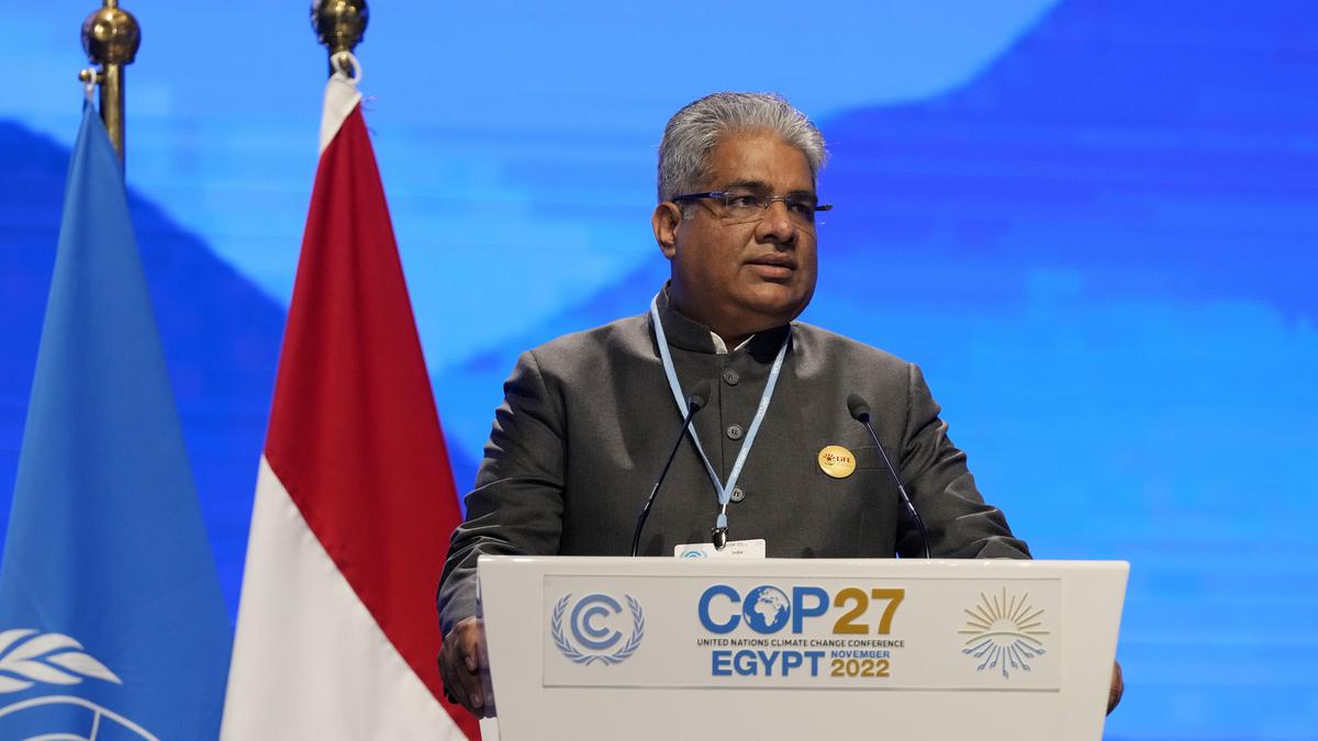 Attempts being made to forget rich nations' historical contribution: India at COP27