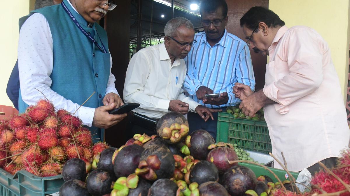 About 200 plant variants of jackfruit are fruiting in IIHR, says Director