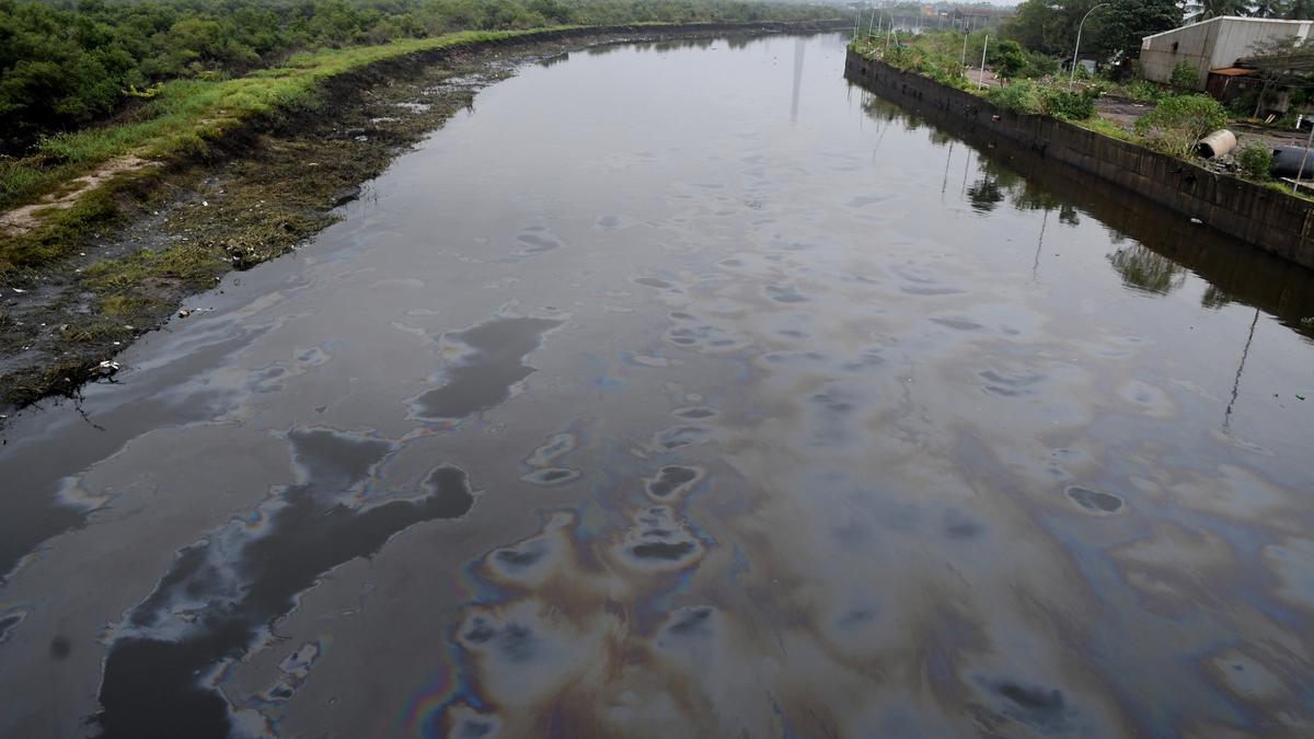 National Green Tribunal orders high-level committee to submit report on oil spill in Ennore-Manali area
