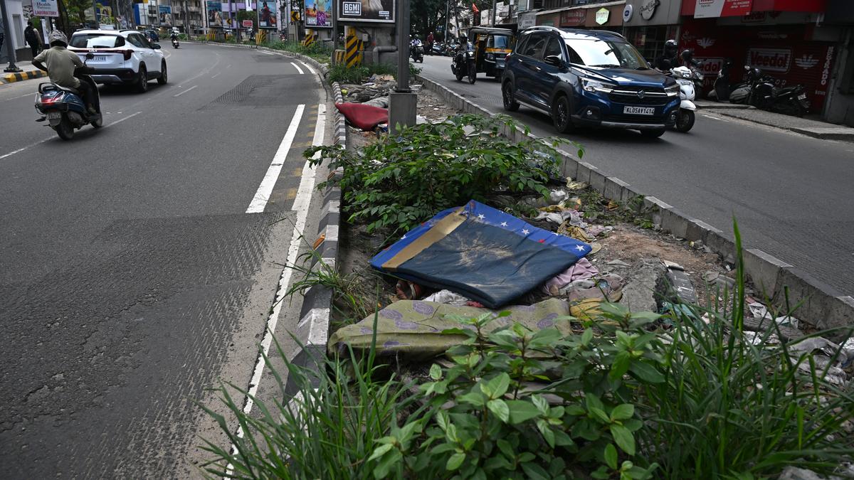 Facing flak for poor maintenance, KMRL mulls biodegradable planting medium on medians beneath metro viaduct