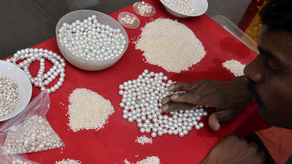Efforts on to get GI tag recognition for Hyderabad pearls