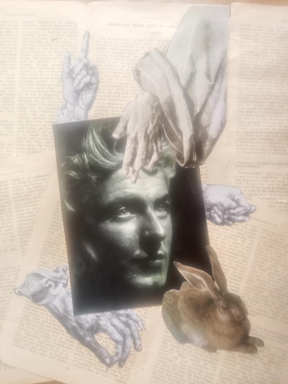 A collage by Max Davies A collage by Max Davies