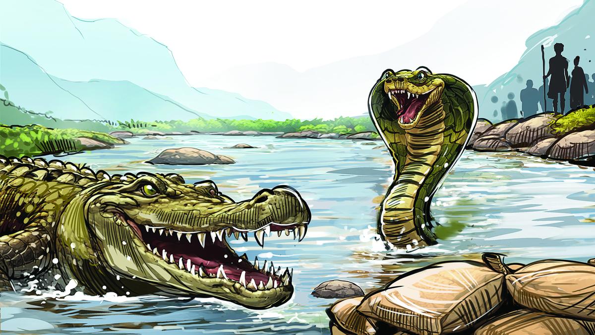 Explore use of snakes and crocodiles in border rivers, BSF tells units Explore use of snakes and crocodiles in border rivers, BSF tells units