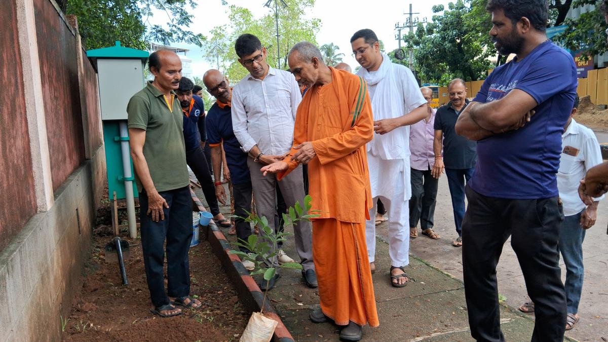 Amba Maheshwari Seva Trust plants tree saplings in and around Mangaladevi