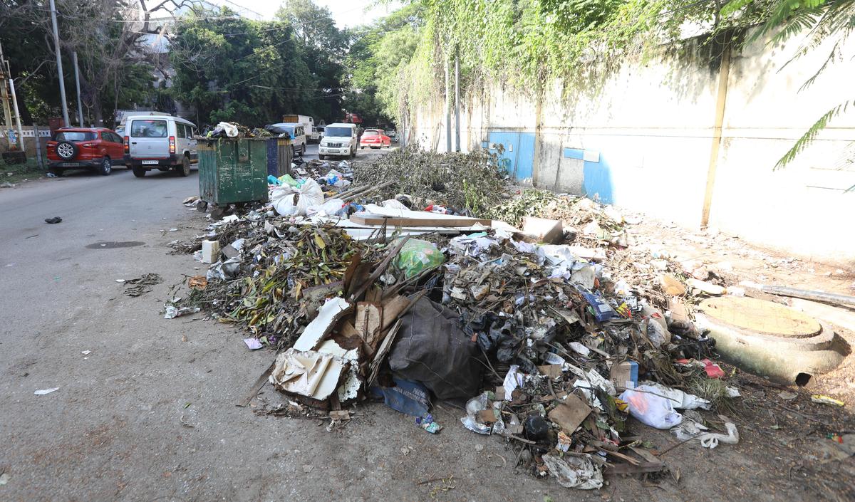 Garbage being dumped with impunity on a interior section of McNichols Road in Dasspuram, Chetpet. Here is how the spot looked in the afternoon of October 31, 2025. 