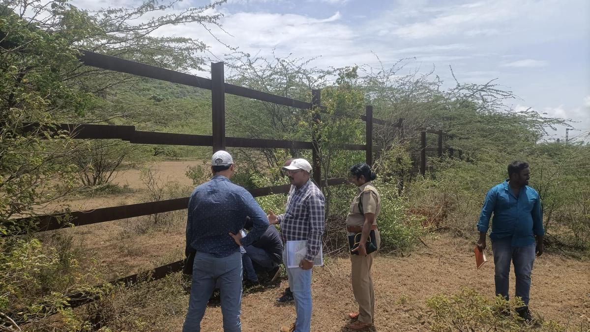 Rail fence to prevent elephant deaths in addition to underpasses near Coimbatore