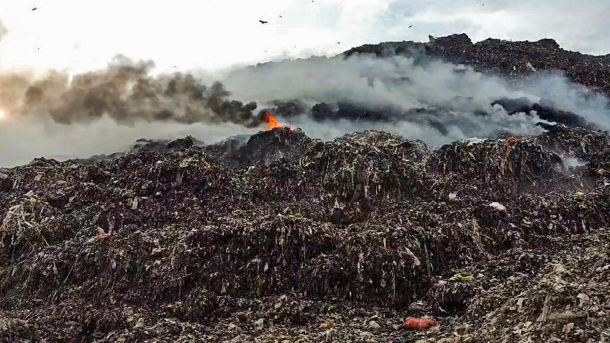 East Delhi Lok Sabha seat: where garbage removal continues to be a tall order