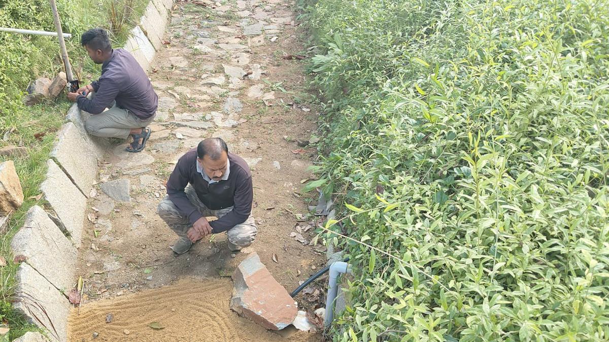 After Infosys campus, leopard suspected to be on the prowl near apartment complex in Mysuru